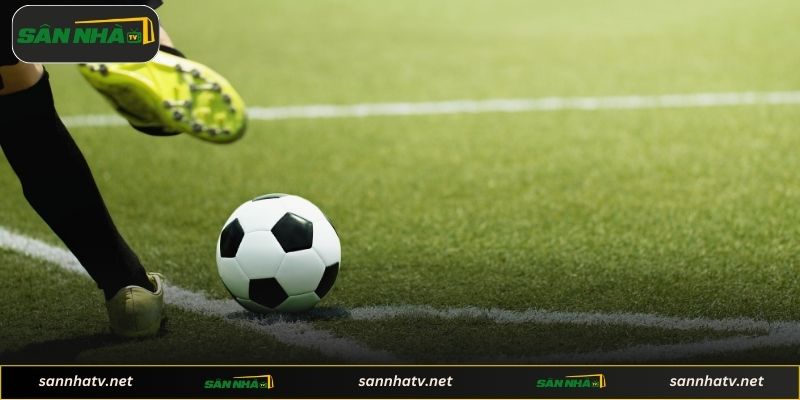 Hướng dẫn đọc hiểu bài phân tích chi tiết