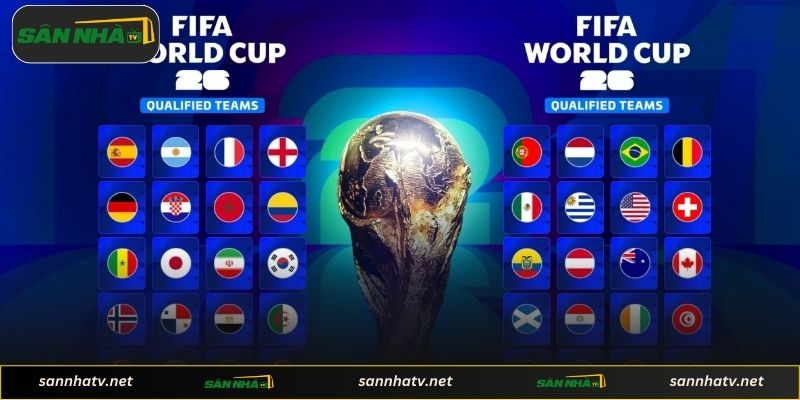 Lịch trình vòng loại và cách xem trực tiếp bóng đá